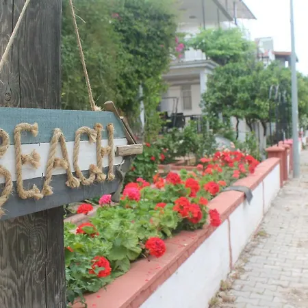 Fiesta B&B 디딤